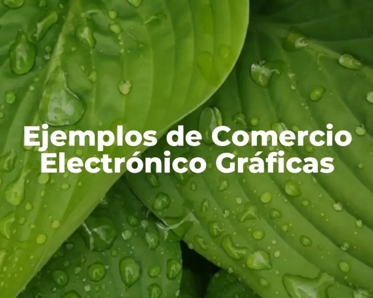 Ejemplos de Comercio Electrónico Gráficas