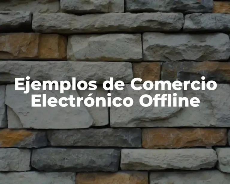 Ejemplos de Comercio Electrónico Offline