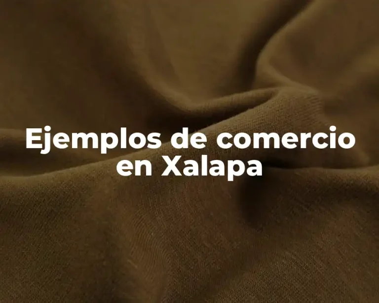 Ejemplos de comercio en Xalapa