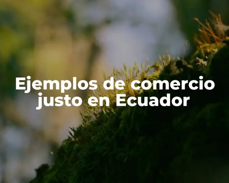 Ejemplos de comercio justo en Ecuador