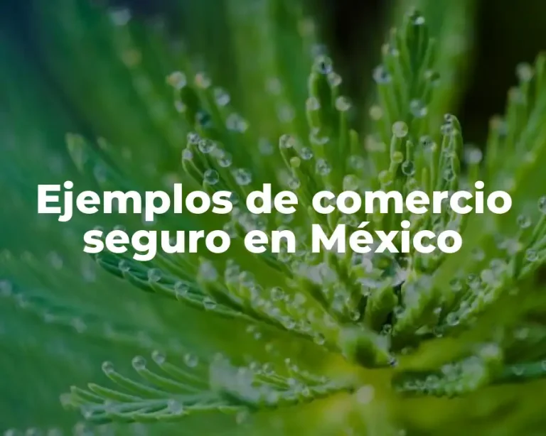 Ejemplos de comercio seguro en México