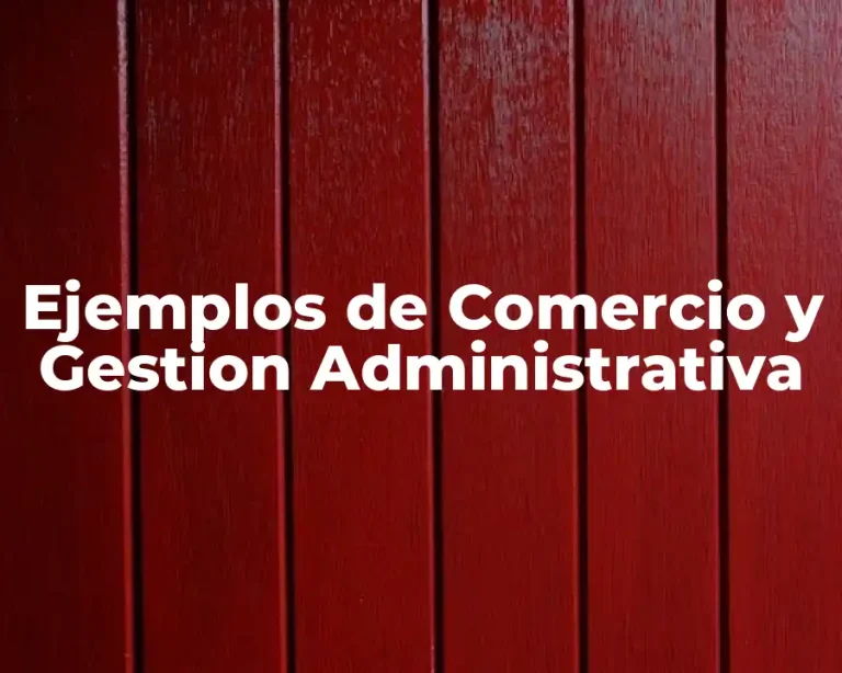 Ejemplos de Comercio y Gestion Administrativa