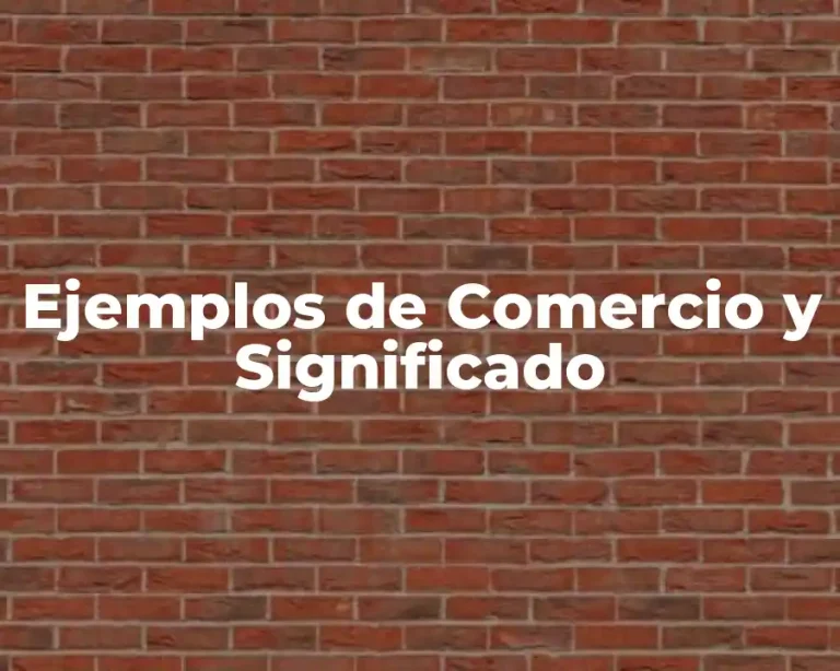 Ejemplos de Comercio y Significado