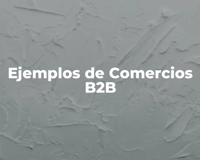 Ejemplos de Comercios B2B