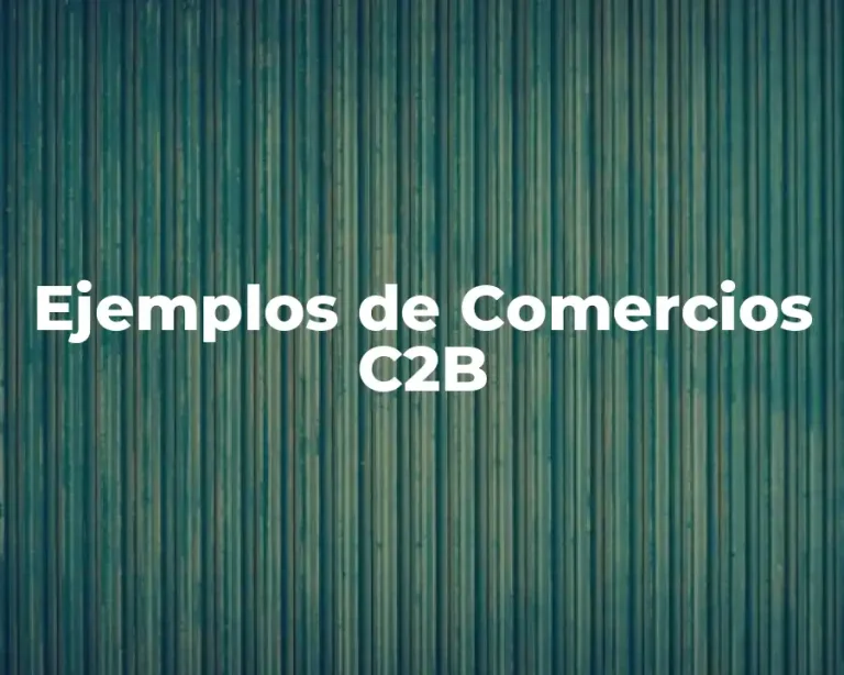Ejemplos de Comercios C2B