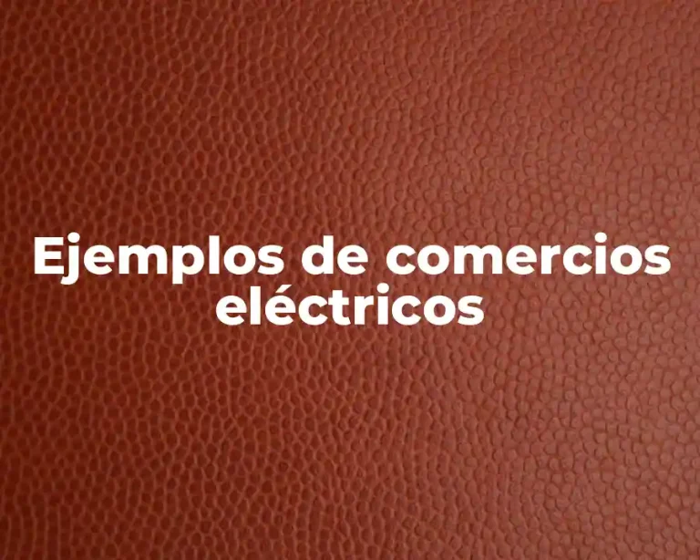 Ejemplos de comercios eléctricos