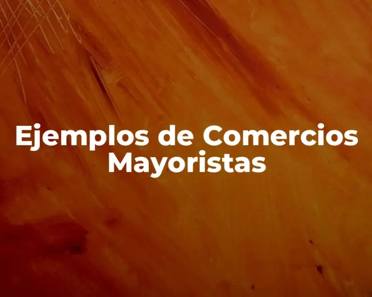 Ejemplos de Comercios Mayoristas