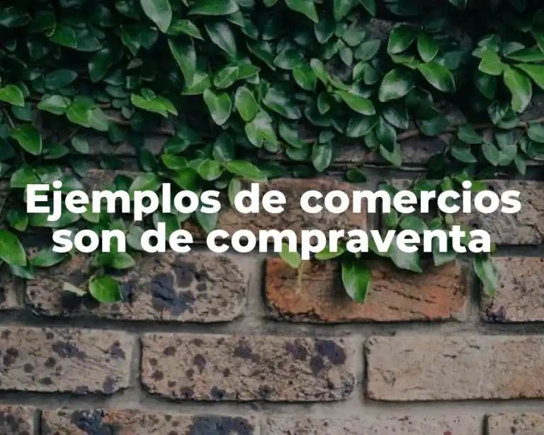 Ejemplos de comercios son de compraventa