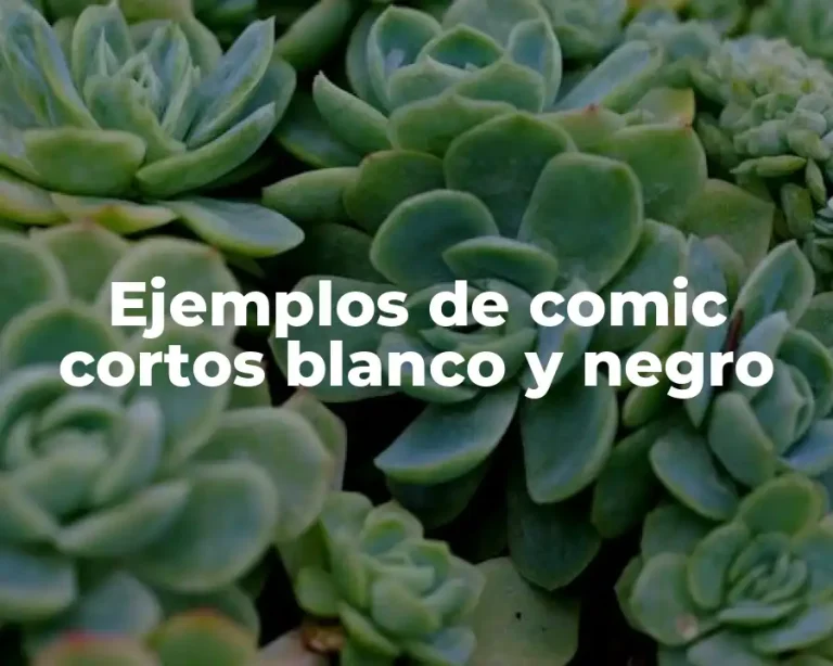 Ejemplos de comic cortos blanco y negro