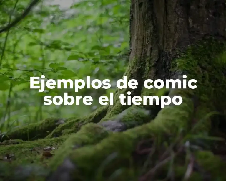 Ejemplos de comic sobre el tiempo
