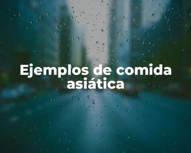 Ejemplos de comida asiática