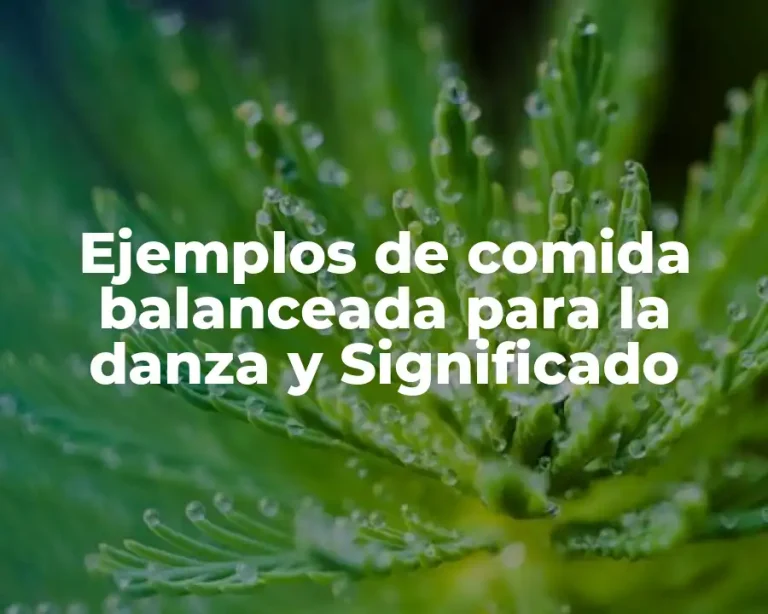 Ejemplos de comida balanceada para la danza y Significado