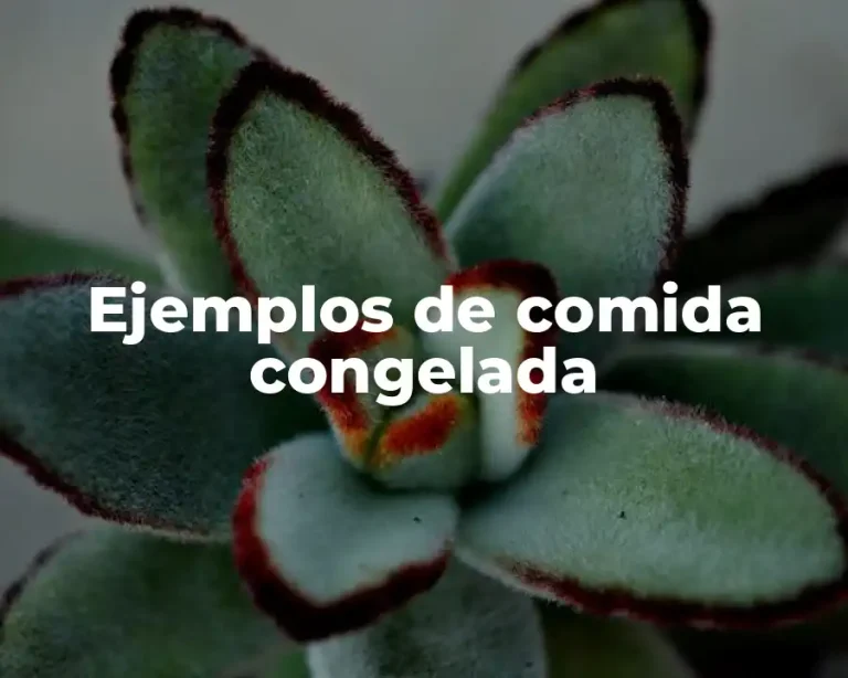 Ejemplos de comida congelada