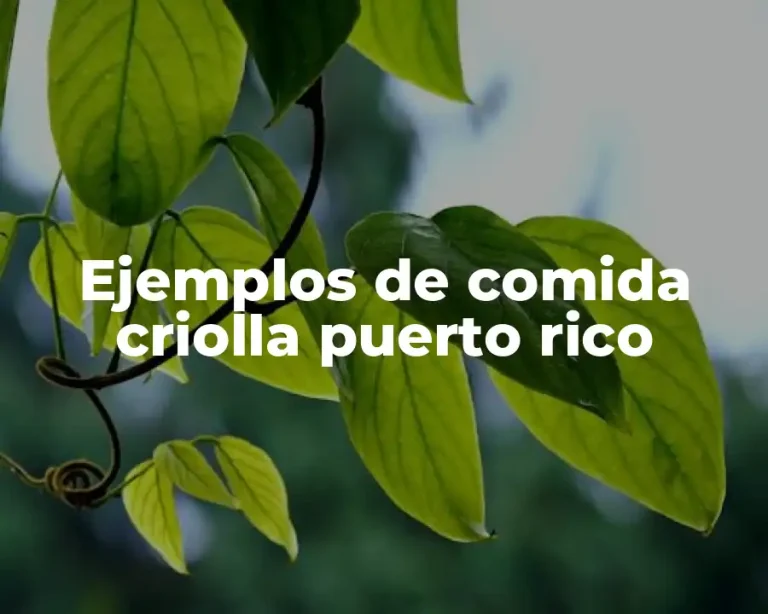 Ejemplos de comida criolla puerto rico