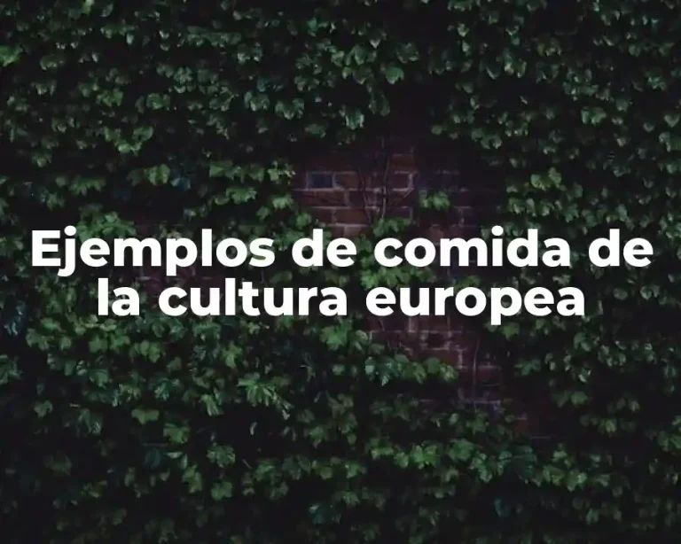 Ejemplos de comida de la cultura europea