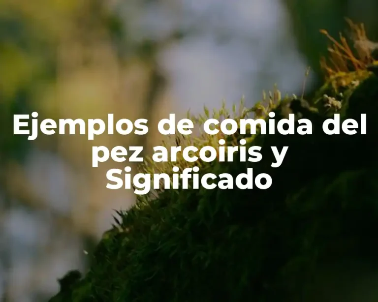 Ejemplos de comida del pez arcoiris y Significado