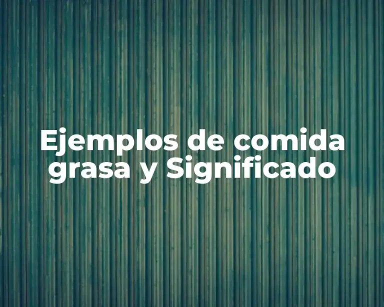 Ejemplos de comida grasa y Significado