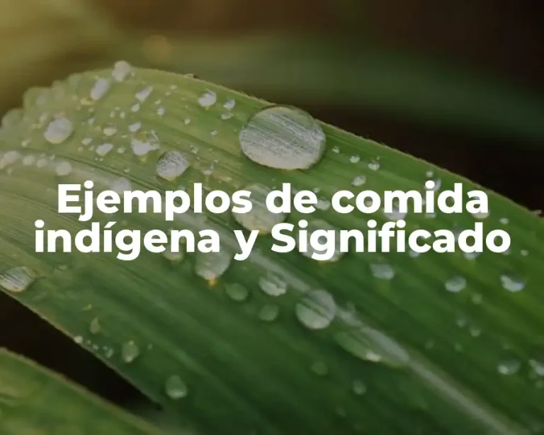 Ejemplos de comida indígena y Significado
