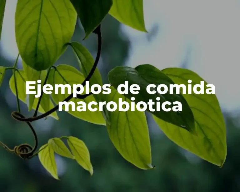 Ejemplos de comida macrobiotica