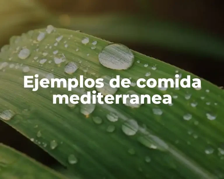 Ejemplos de comida mediterranea