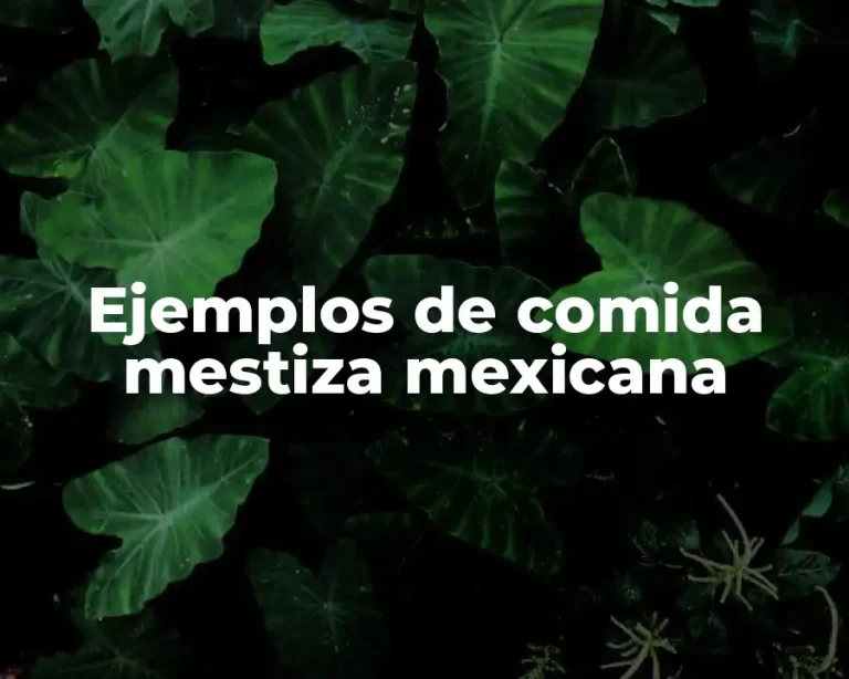 Ejemplos de comida mestiza mexicana