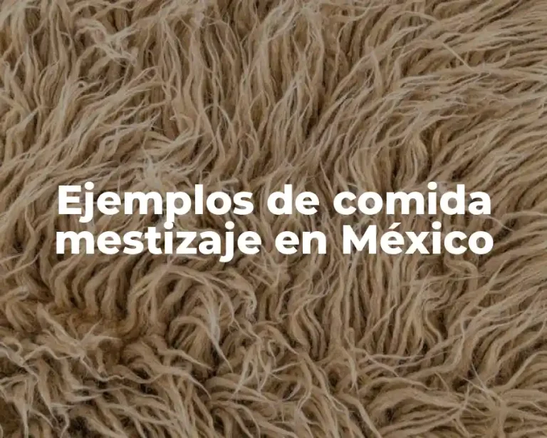 Ejemplos de comida mestizaje en México