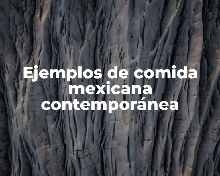 Ejemplos de comida mexicana contemporánea