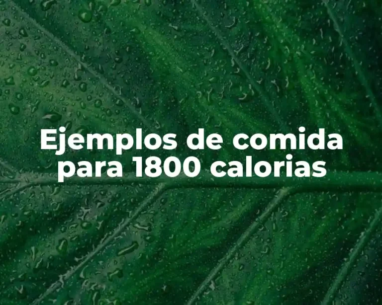 Ejemplos de comida para 1800 calorias