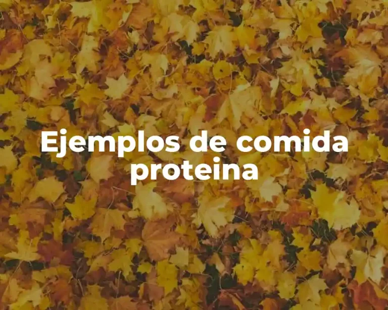 Ejemplos de comida proteina