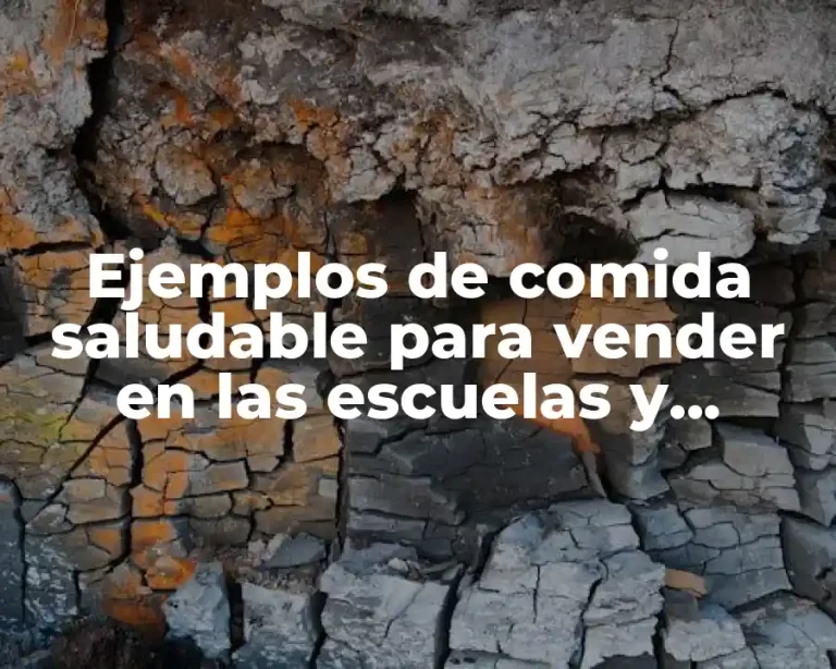 Ejemplos de comida saludable para vender en las escuelas y Significado