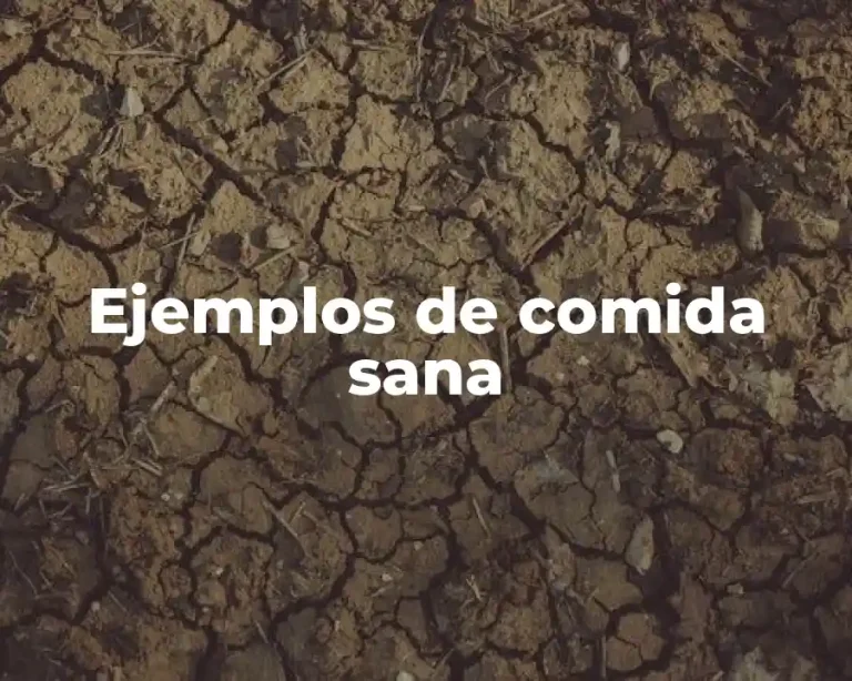 Ejemplos de comida sana