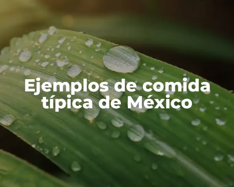 Ejemplos de comida típica de México