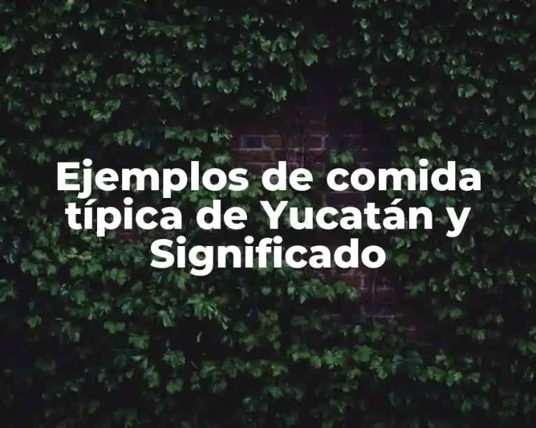 Ejemplos de comida típica de Yucatán y Significado
