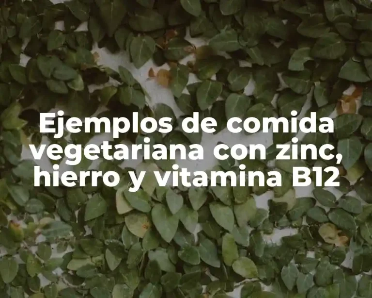 Ejemplos de comida vegetariana con zinc, hierro y vitamina B12