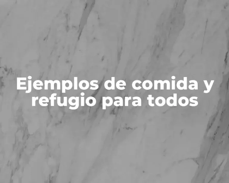 Ejemplos de comida y refugio para todos