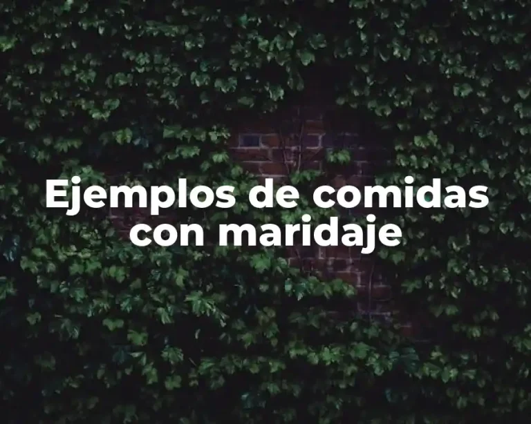 Ejemplos de comidas con maridaje