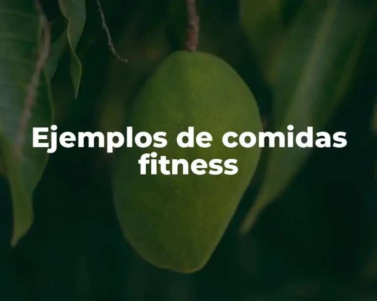 Ejemplos de comidas fitness