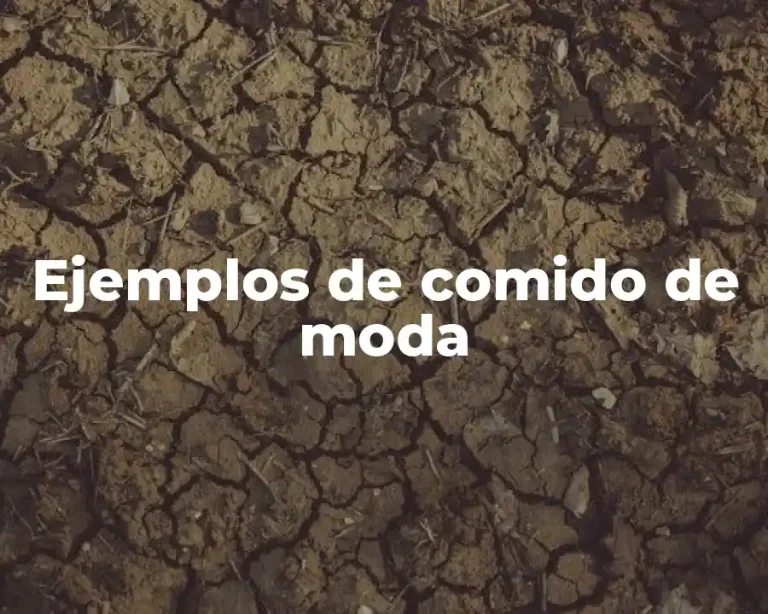 Ejemplos de comido de moda