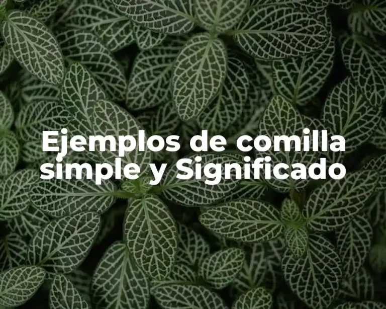 Ejemplos de comilla simple y Significado