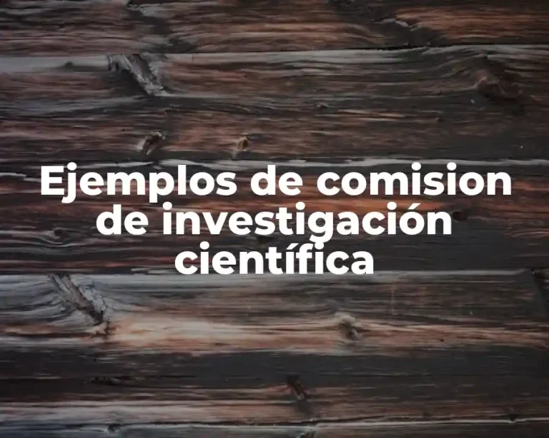 Ejemplos de comision de investigación científica