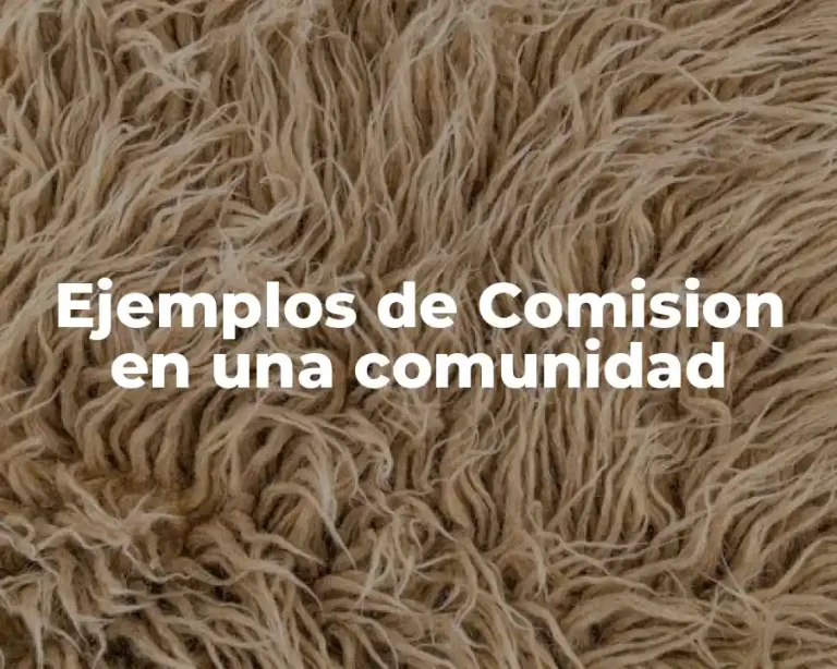 Ejemplos de Comision en una comunidad