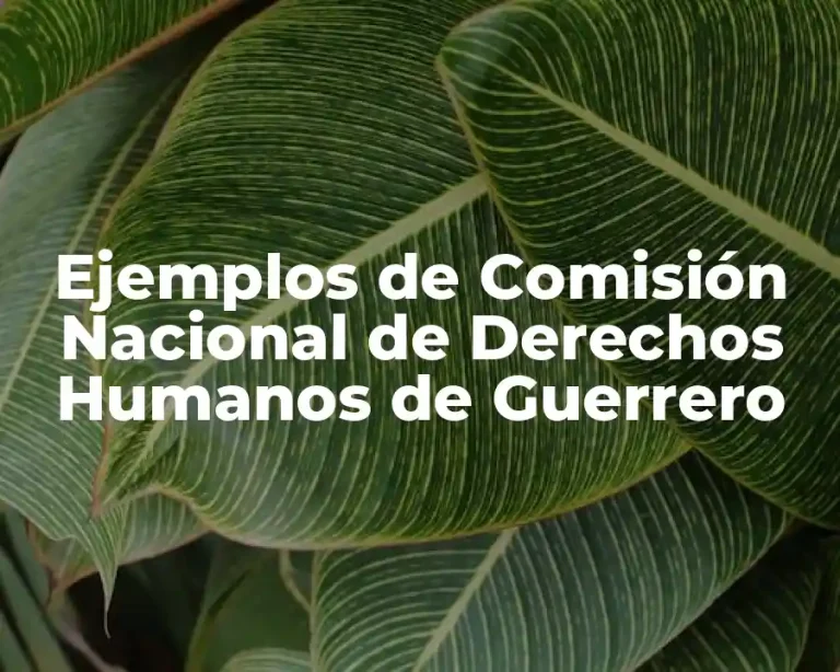 Ejemplos de Comisión Nacional de Derechos Humanos de Guerrero