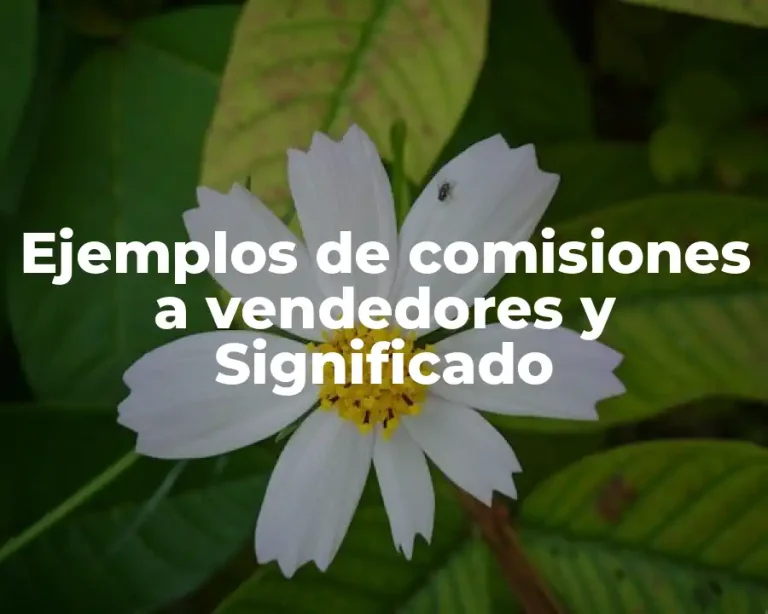 Ejemplos de comisiones a vendedores y Significado