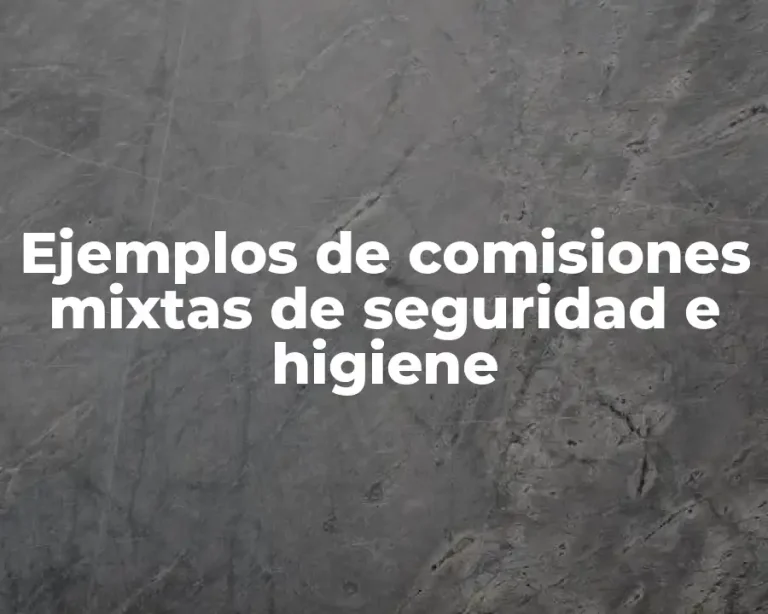 Ejemplos de comisiones mixtas de seguridad e higiene