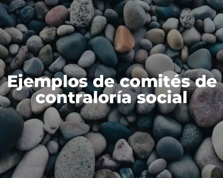 Ejemplos de comités de contraloría social