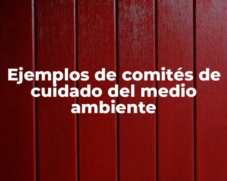 Ejemplos de comités de cuidado del medio ambiente