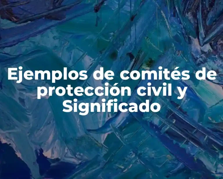 Ejemplos de comités de protección civil y Significado