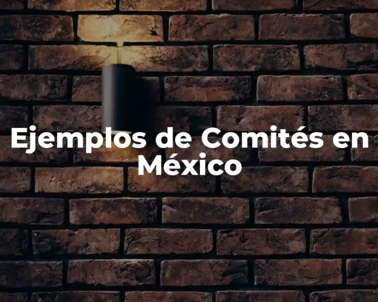 Ejemplos de Comités en México