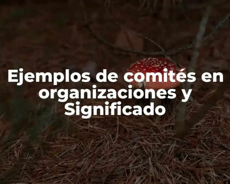 Ejemplos de comités en organizaciones y Significado