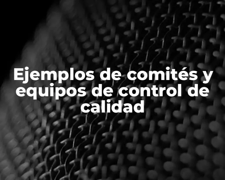 Ejemplos de comités y equipos de control de calidad